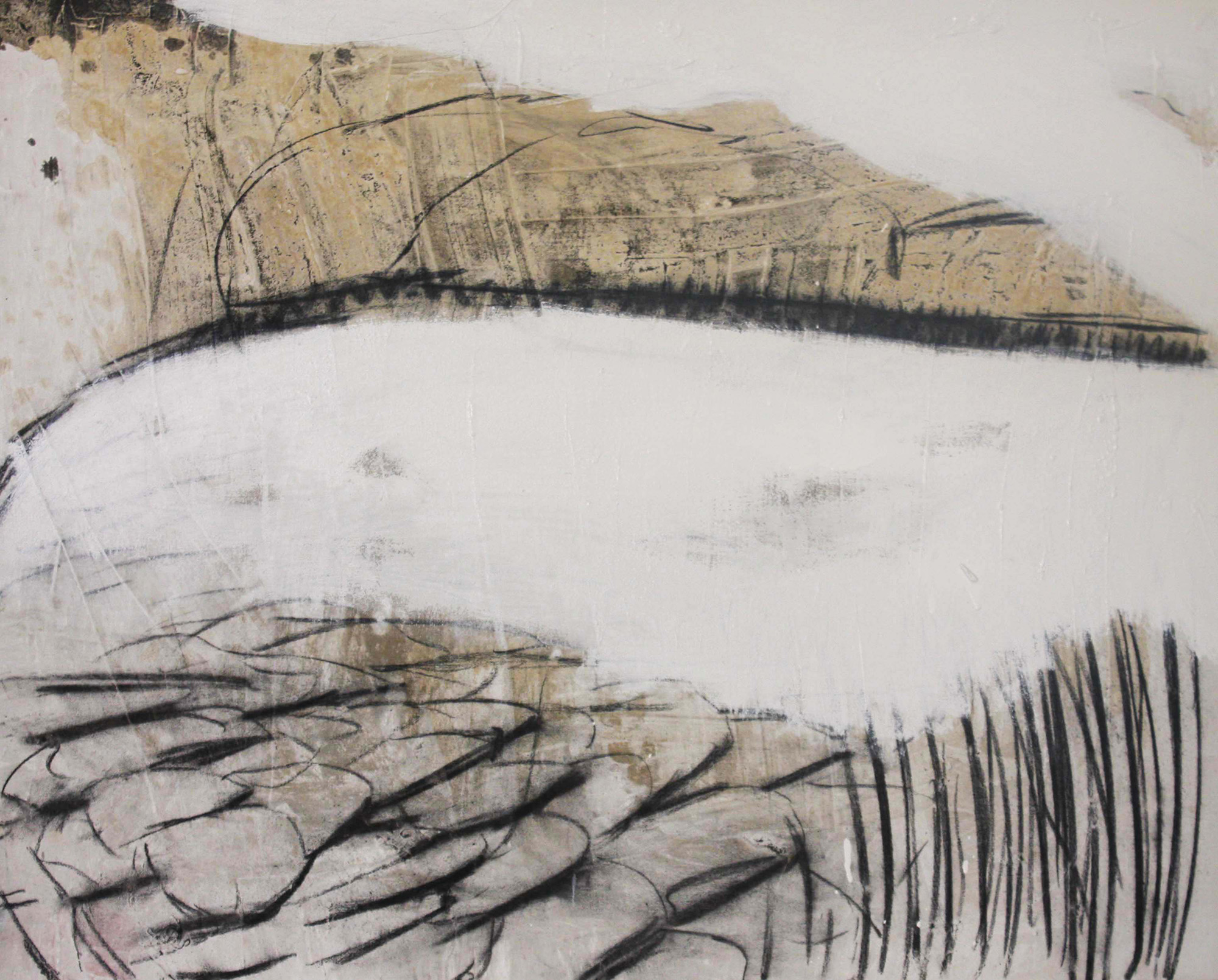 Primavera. Acrílico y carbón sobre lienzo, 60x80 cm, 2016